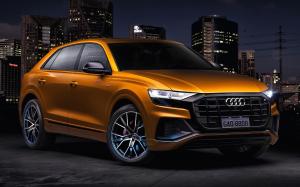 Audi Q8 55 TFSI Quattro S-Line 2019 года (LA)